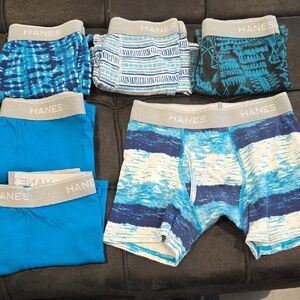 Hanes Assorted Blue Boxer Briefs Large